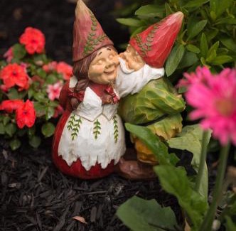 Lodi Bed & Breakfast | Poppy Sister Inn