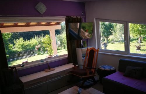 Bor House | "Porodica MARKOVIC" Borsko jezero