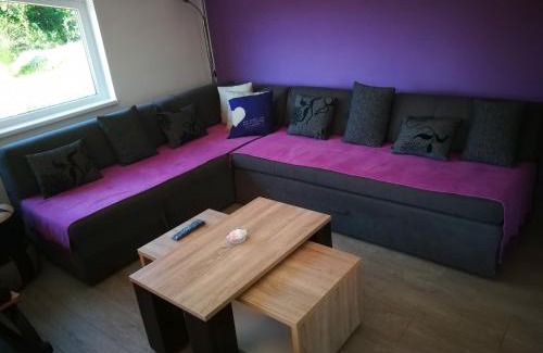 Bor House | "Porodica MARKOVIC" Borsko jezero