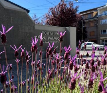 Centro Apartment | Portales de la Patagonia Apartments