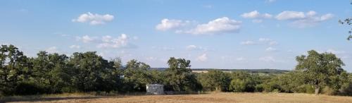 Fredericksburg Bed & Breakfast | Porter Haus B&B