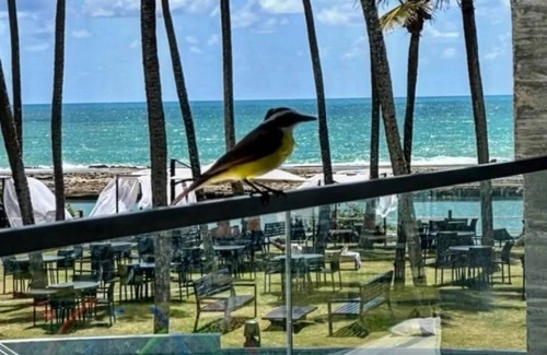 Ipojuca Apartment | PORTO ALTO RESORT. YOUR PRIVATE PARADISE!