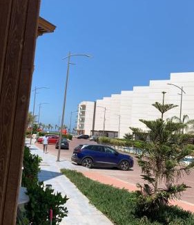 Al-Manasrah Apartment | Porto said