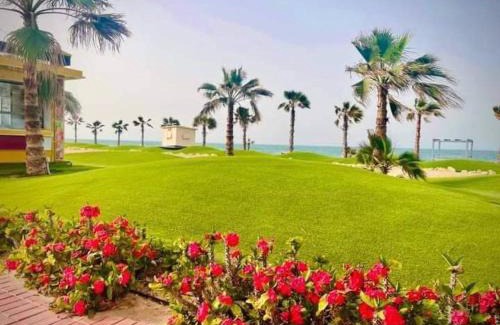 Port Said Apartment | Porto said