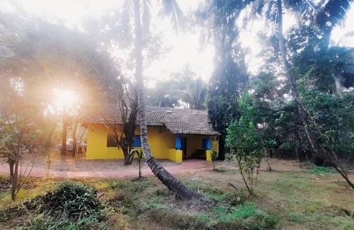 Cansaulim Villa | Portuguese Era Goan Home Swimming Pool Insta: @little.yellow.house1943