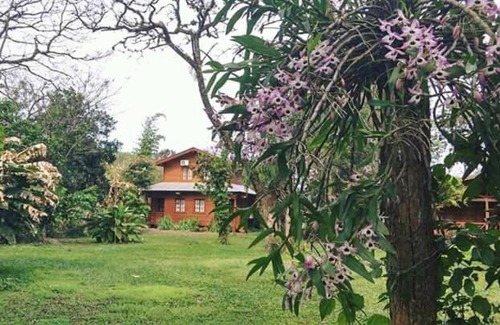 Eldorado Hotel | Posada de los Árboles