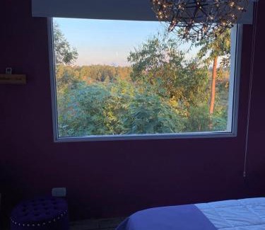 Concordia House | Posada de Sofi