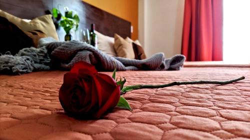 Aguascalientes Hotel | Posada Del Carmen Aguascalientes