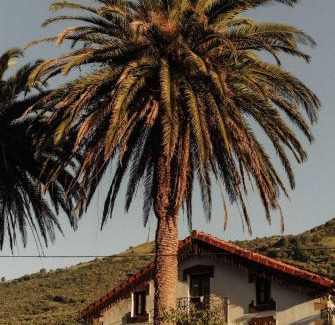 Ogarrio House | Posada La Casa de Lastras