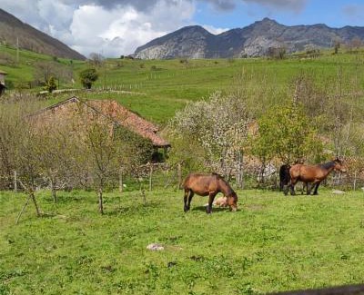 Cicera House | Posada la escuela - Bed&Breakfast