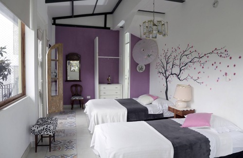Silvania Bed & Breakfast | Posada Las Bromelias