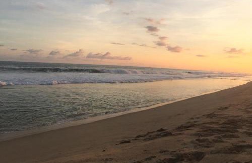 Acapulco Bed & Breakfast | Posada Las Palmas