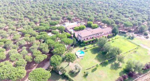 Pozal de Gallinas Hotel | Posada Real del Pinar