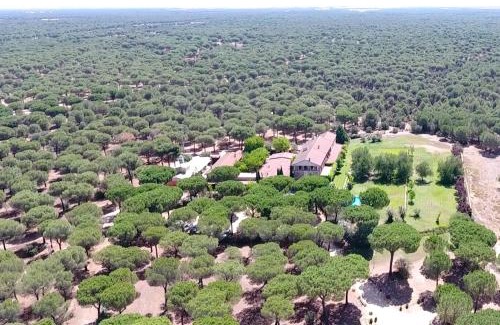 Pozal de Gallinas Hotel | Posada Real del Pinar