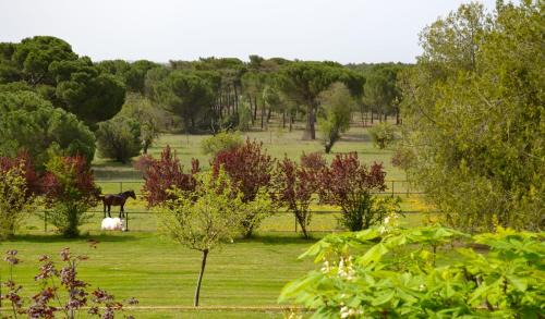 Pozal de Gallinas Hotel | Posada Real del Pinar