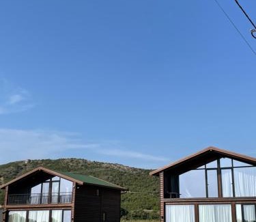 Kryevidh Villa | Posh villa 2