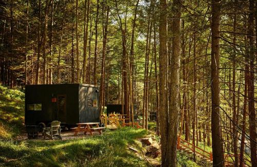 Grand Junction Other | Postcard Cabins Barber Creek