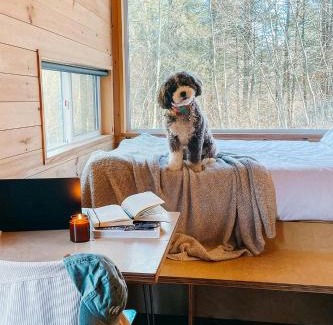 Gnaw Bone Other | Postcard Cabins Brown County
