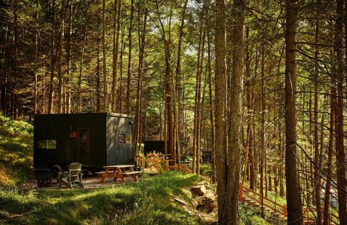 Seneca Other | Postcard Cabins Lake Hartwell