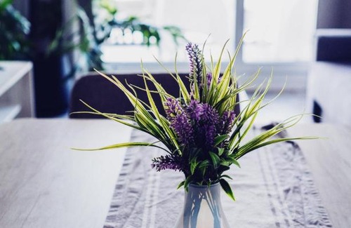 San Nicolas de los Arroyos Apartment | POTENCIAL Alquileres Temporarios DE LUJO