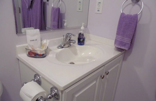 Harpers Ferry Bed & Breakfast | Potomac Room-one bed