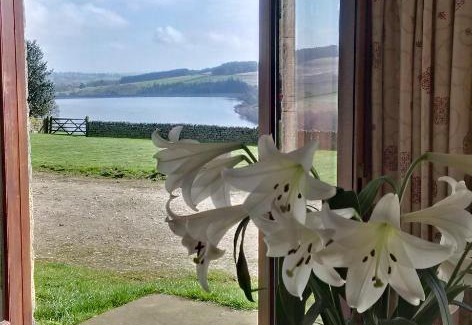 Lofthouse House | Pott Hall