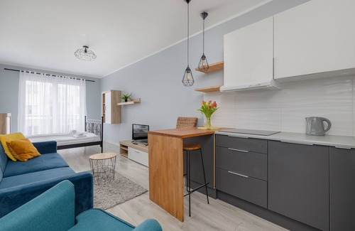 West Pomeranian Voivodeship Apartment | Potulicka Yellow Studio