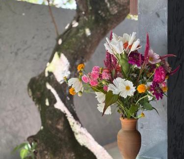 Velha Boipeba Hotel | Pousada Água Salgada