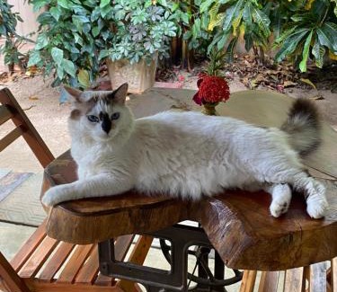 Tamandare Hotel | Pousada Águas de Tamandaré