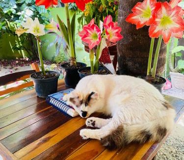 Tamandare Hotel | Pousada Águas de Tamandaré