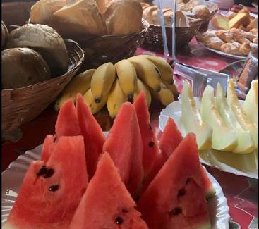 Southeast Region Hotel | Pousada Árvore Centenária