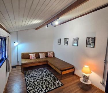 Santo Antonio do Pinhal House | Pousada A Casa da Fazenda