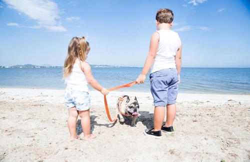 Araruama Hotel | Pousada Algodão da Praia