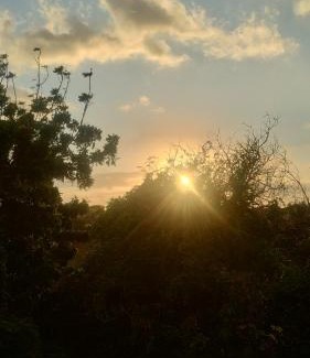 Uruau Apartment | Pousada Apart Praia Uruaú