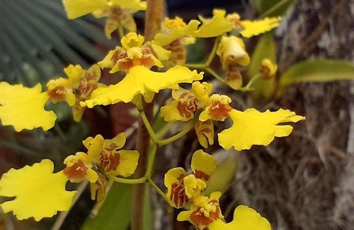 Balneario Mogiano House | Pousada Bora-Sea