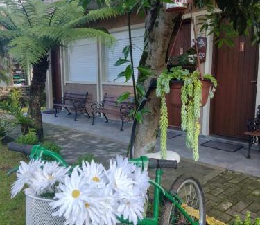 Carniel House | Pousada Caminho das Rosas-Gramado-temporada ou diária