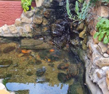 Sao Miguel de Touros Hotel | Pousada Casa Típica