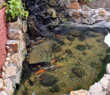 Sao Miguel de Touros Hotel | Pousada Casa Típica