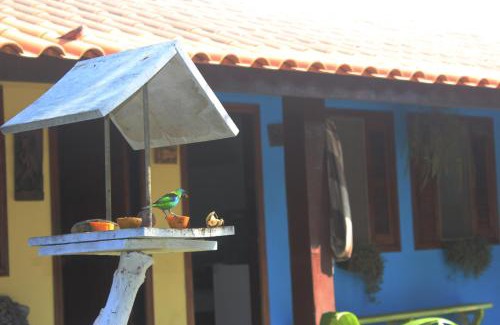 Jardim Samambaia Hotel | Pousada Chalé do Beija Flor