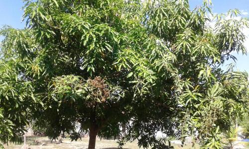 Cavalcante Hotel | Pousada Chalés do Lago