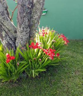Sao Joaquim Hotel | Pousada Cravo e Canela SJ