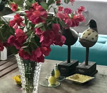 Paranagua Hotel | Pousada das Gêmeas