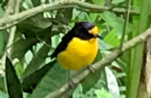 Paranagua Hotel | Pousada das Gêmeas