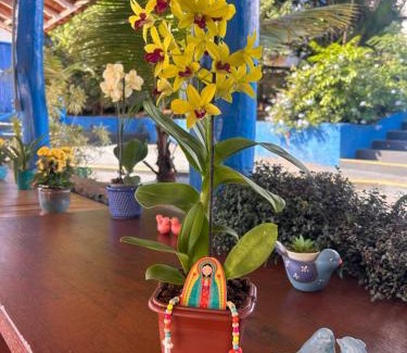 Centro Hotel | Pousada Doce Villa