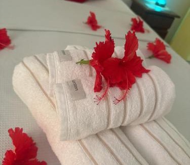 Vila da Trinta Hotel | Pousada Dois Irmãos