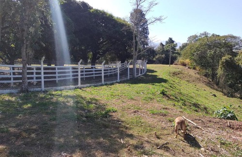 Lavrinhas Other | Pousada e Cervejaria Amor in Malte