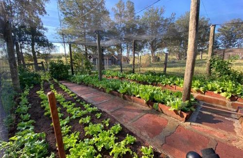 Ribeirao Claro Hotel | Pousada Fazenda Pinhalzinho