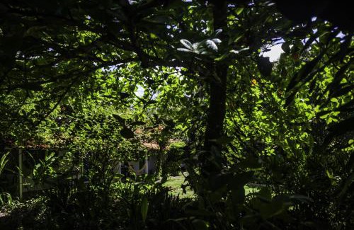 Velha Boipeba Hotel | Pousada Luar das Águas