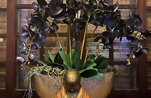 Flamengo Hotel | Pousada MacDonald