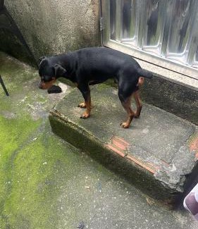 Vilar dos Teles House | Pousada Magna Lúcia